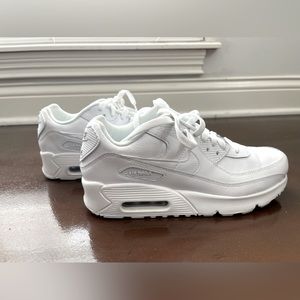 Nike Air Max Shoe
